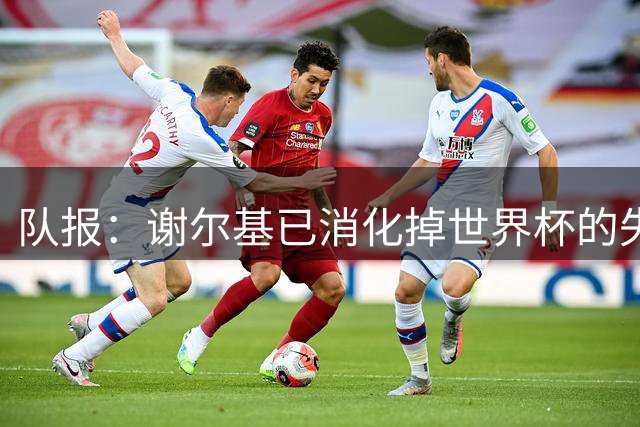 队报：谢尔基已消化掉世界杯的失意情绪，他立志成为曼城重要一员