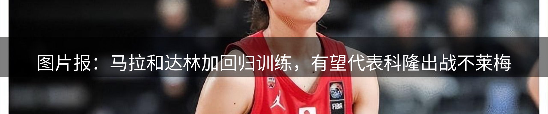 公司观察