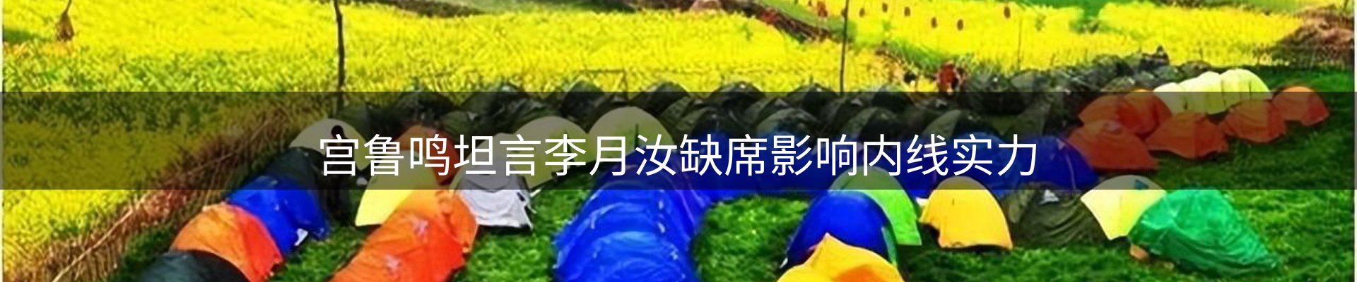公司观察