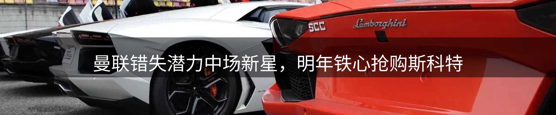 公司观察