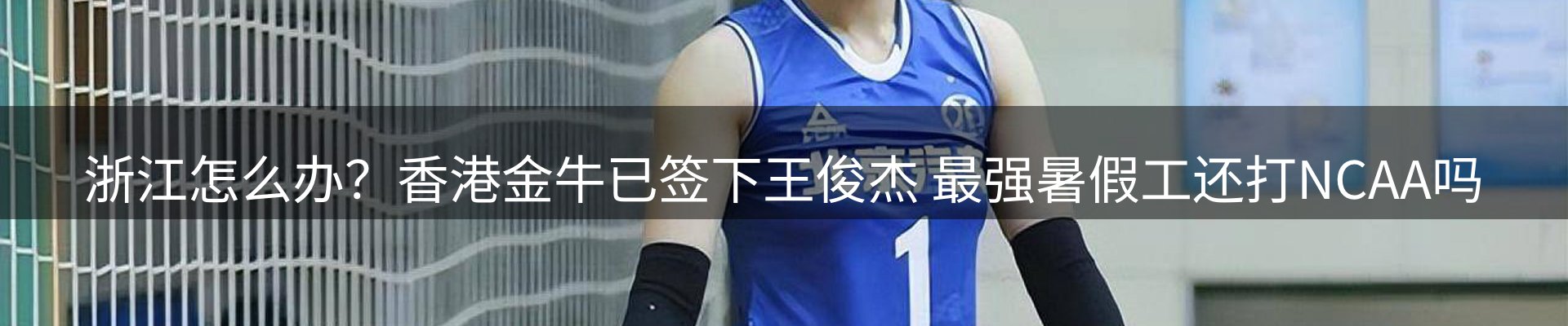 公司观察