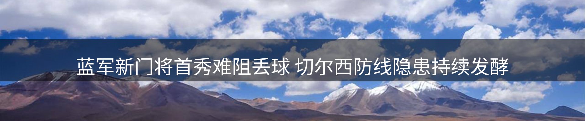 公司观察